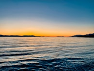 A serene ocean view at sunset with whale fins visible.