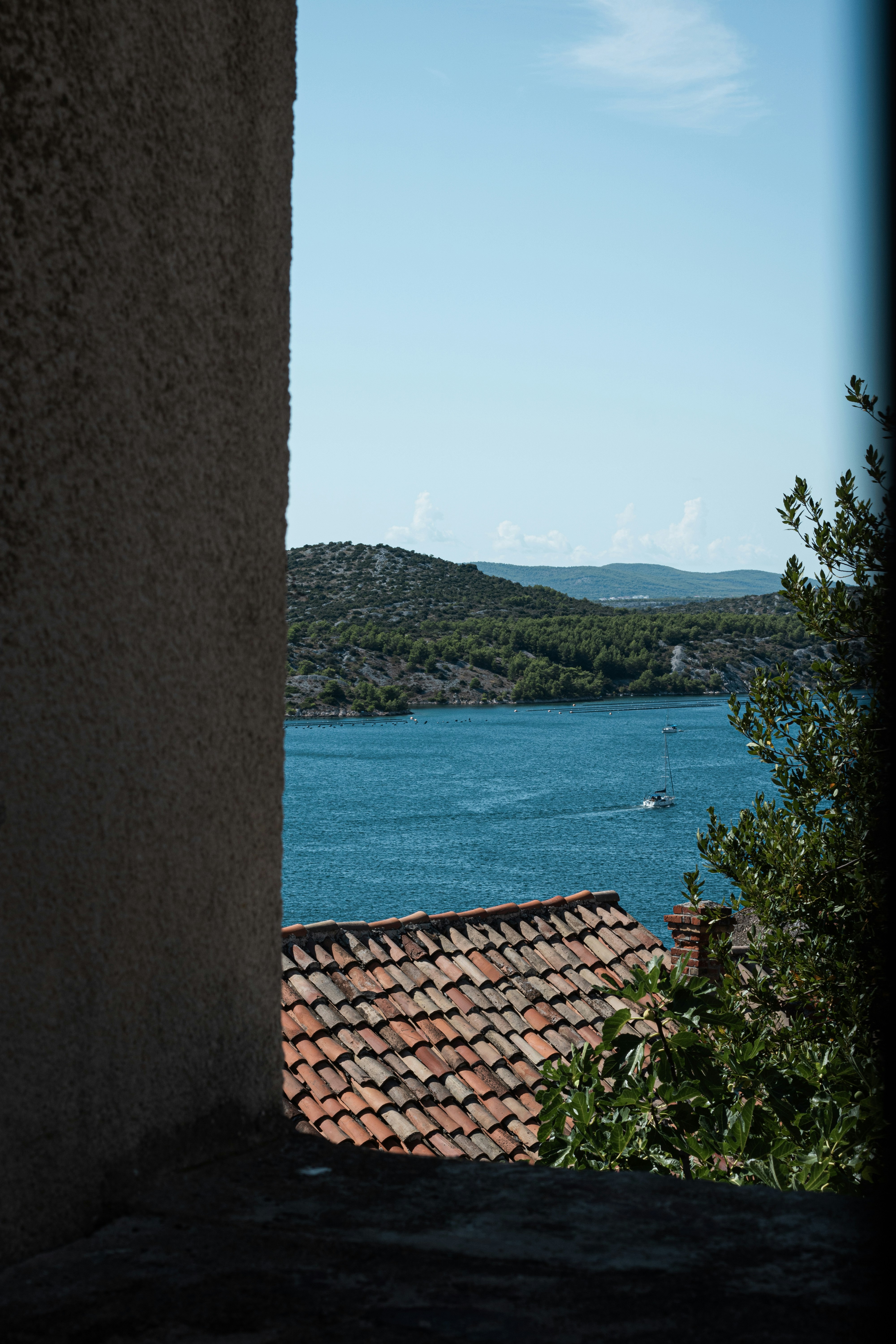 Photo by mikolasvoborsky