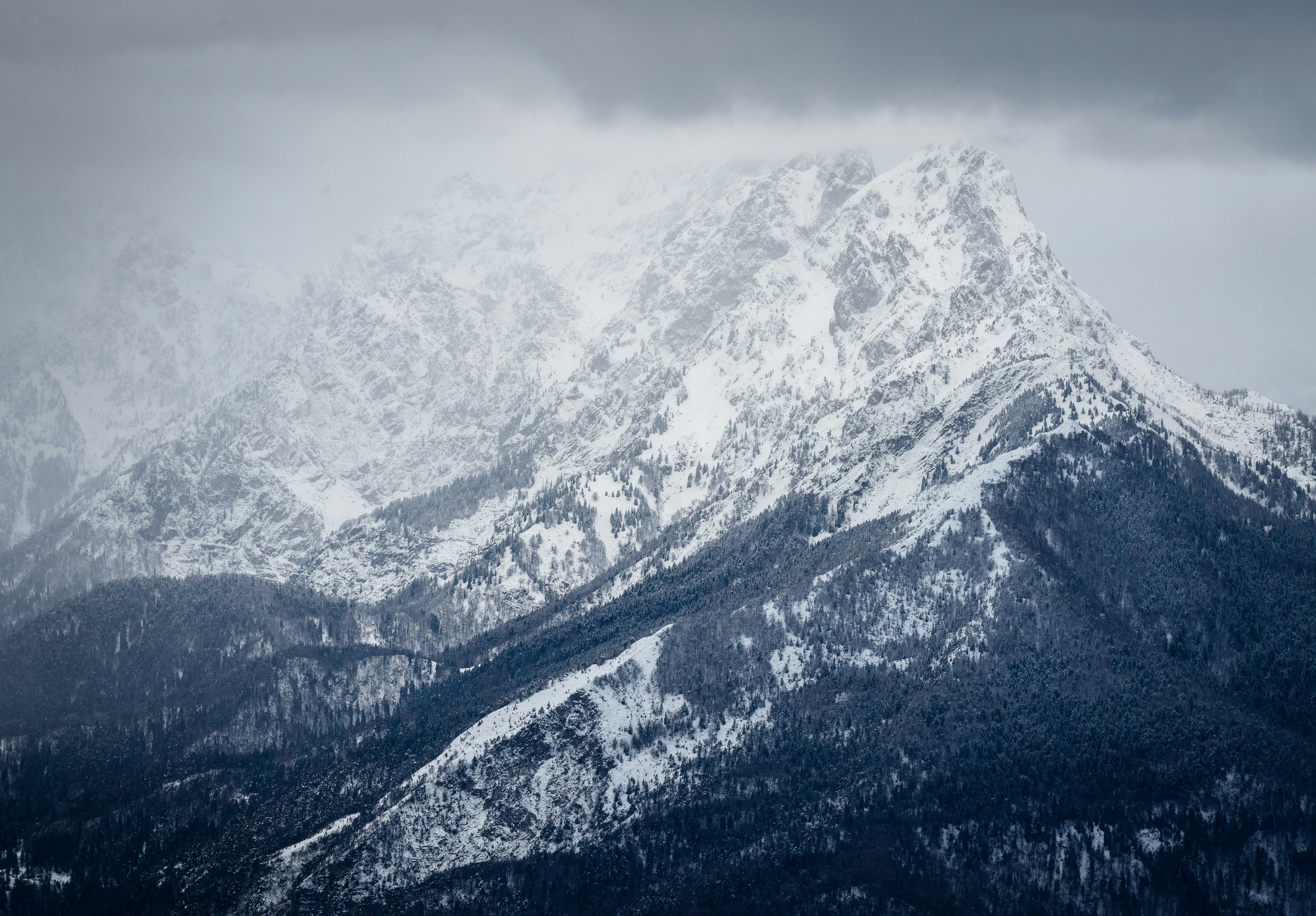 Photo by maciejkulig