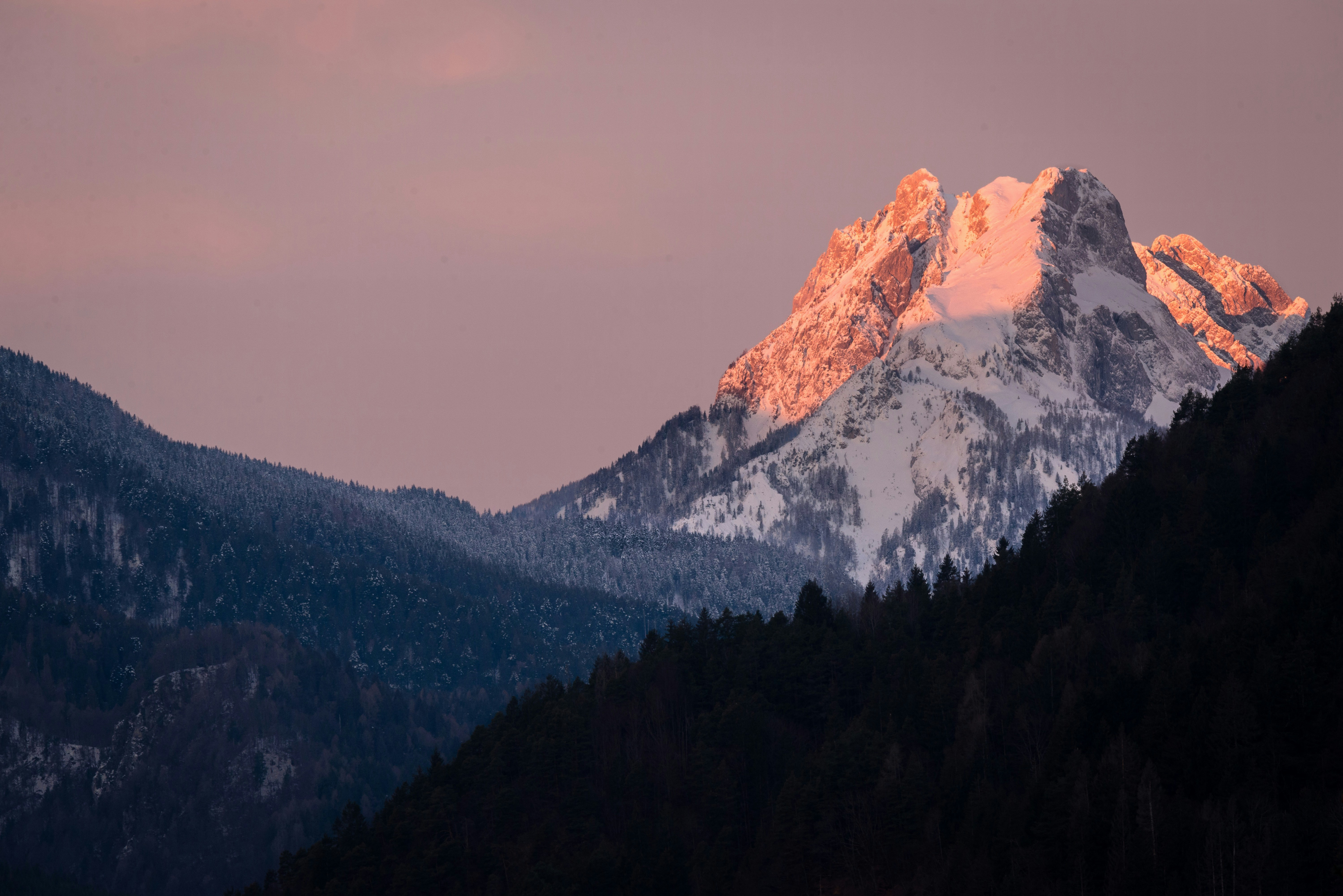 Photo by maciejkulig