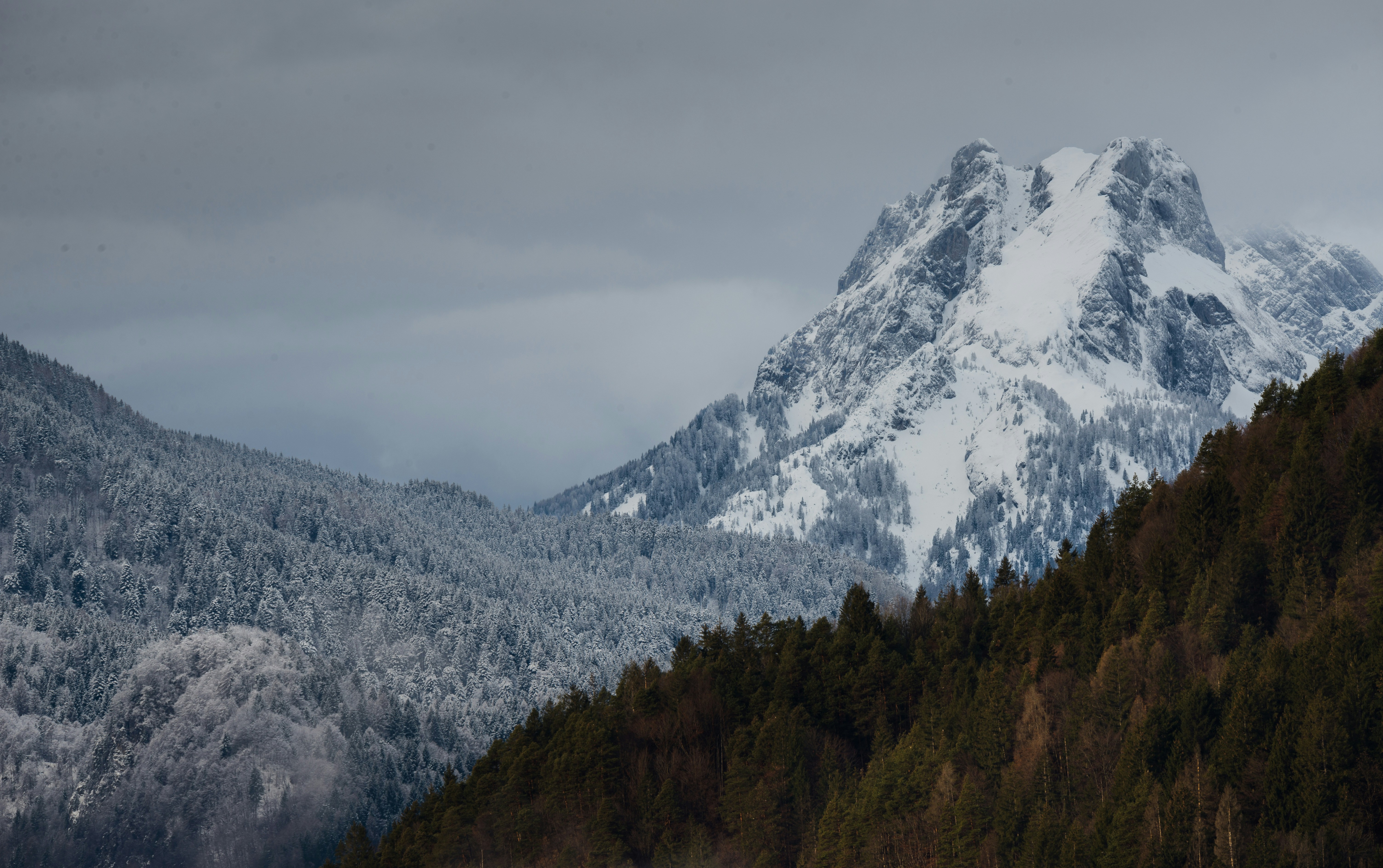 Photo by maciejkulig