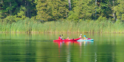 Two kayakers navigating a narrow tidal creek surrounded by lush green trees and reflections in the water.