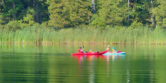 Two kayakers navigating a narrow tidal creek surrounded by lush green trees and reflections in the water.