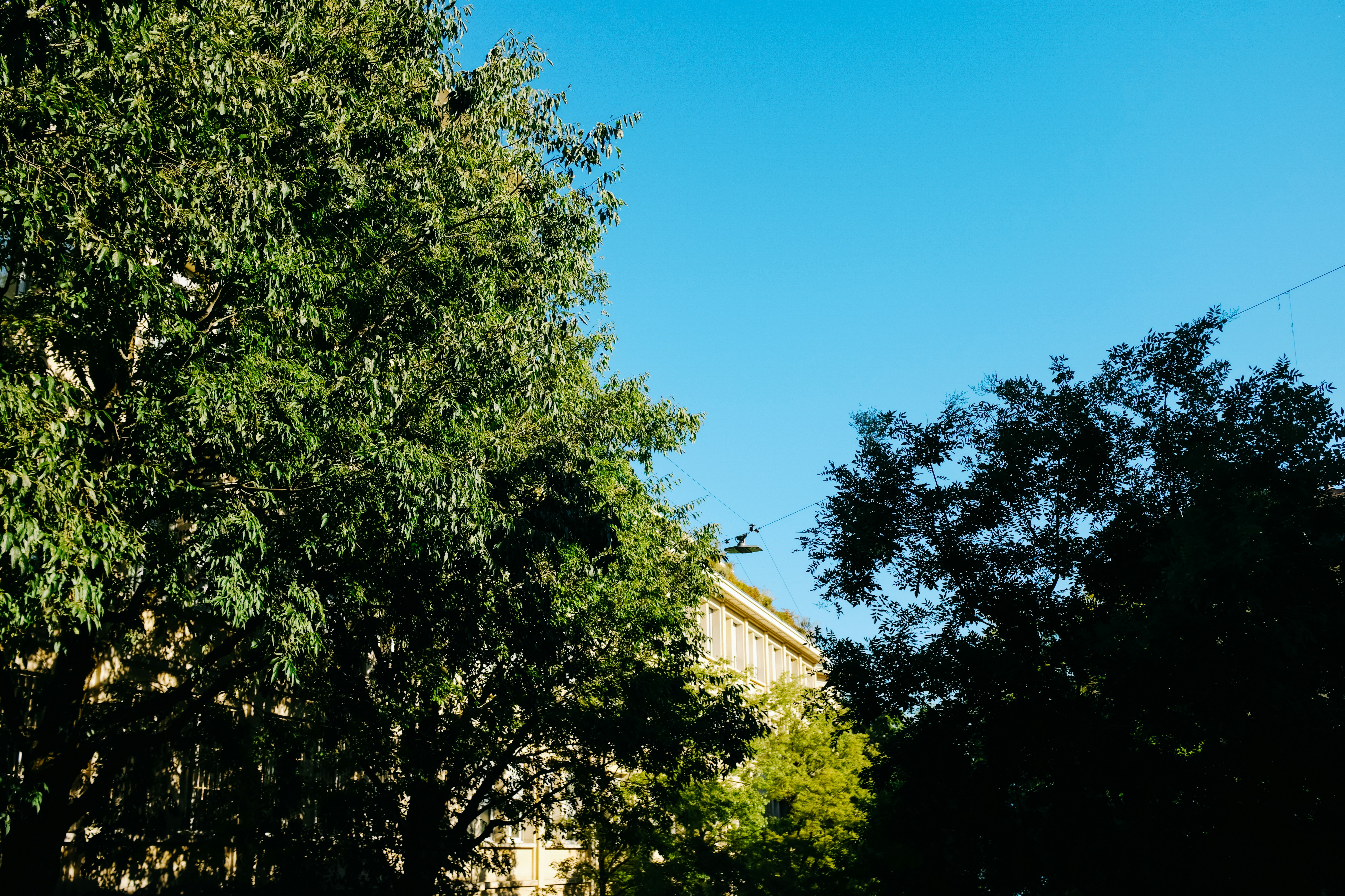 Photo by adrienolichon