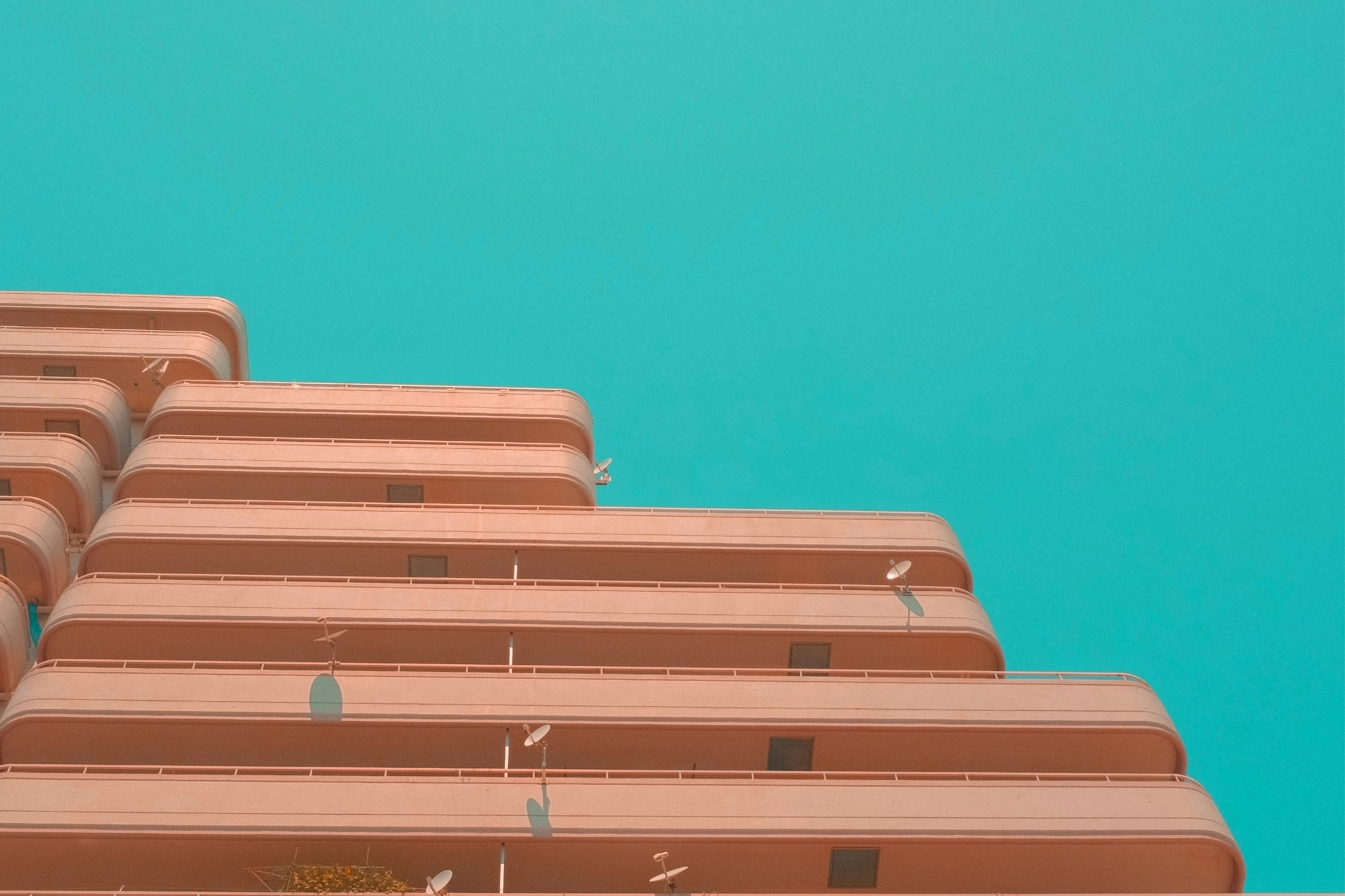 a bird sitting on top of a tall building