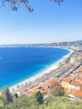 A stunning coastal cityscape with vibrant blue ocean waters meeting a sandy beach lined with palm trees. The foreground features a cluster of orange-roofed buildings, and the background showcases a sprawling cityscape along the coastline. Leafy branches frame the top of the scene, and a small airplane is visible in the sky.