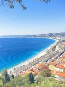 A stunning coastal cityscape with vibrant blue ocean waters meeting a sandy beach lined with palm trees. The foreground features a cluster of orange-roofed buildings, and the background showcases a sprawling cityscape along the coastline. Leafy branches frame the top of the scene, and a small airplane is visible in the sky.