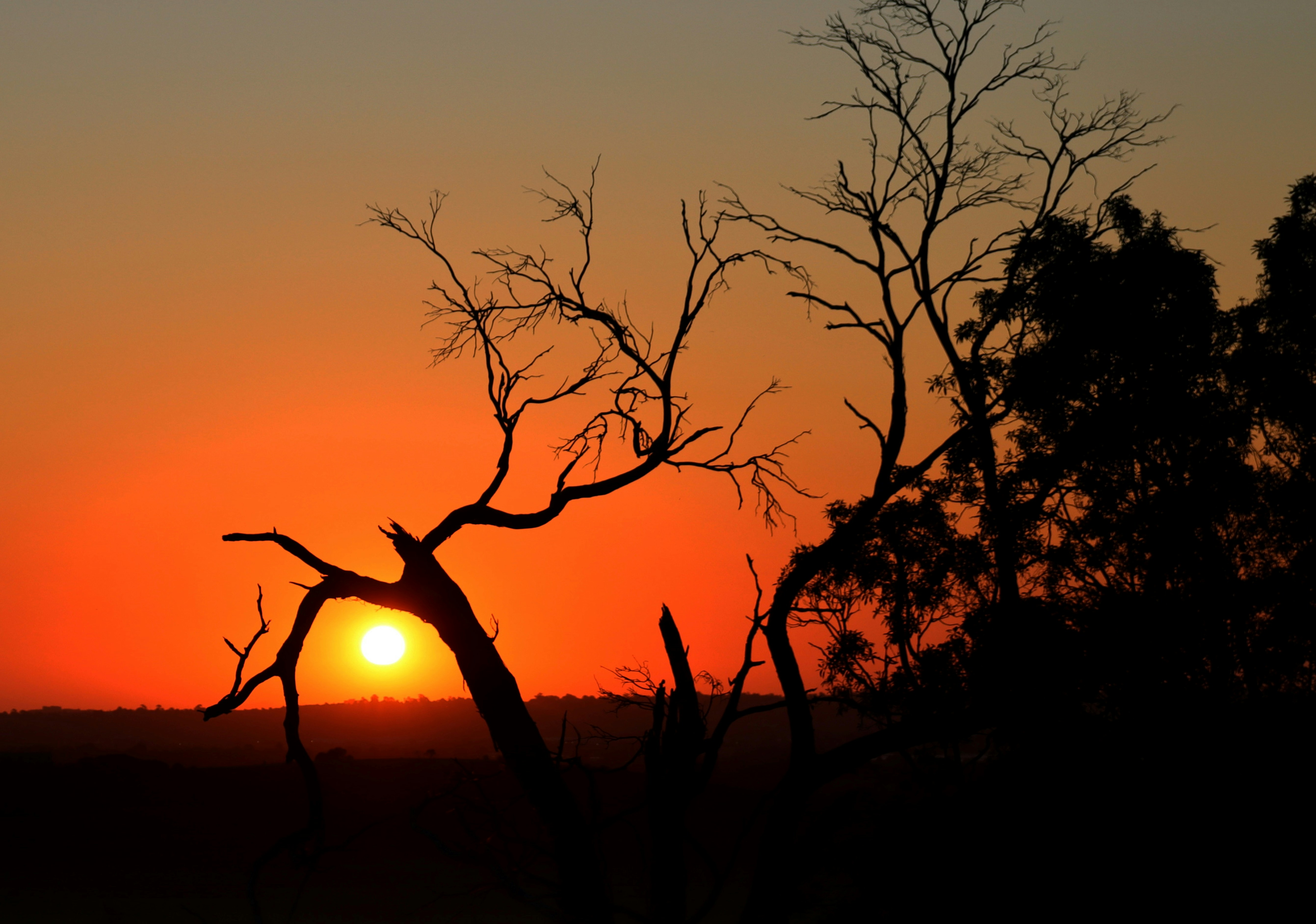 Photo by craigmanners_com