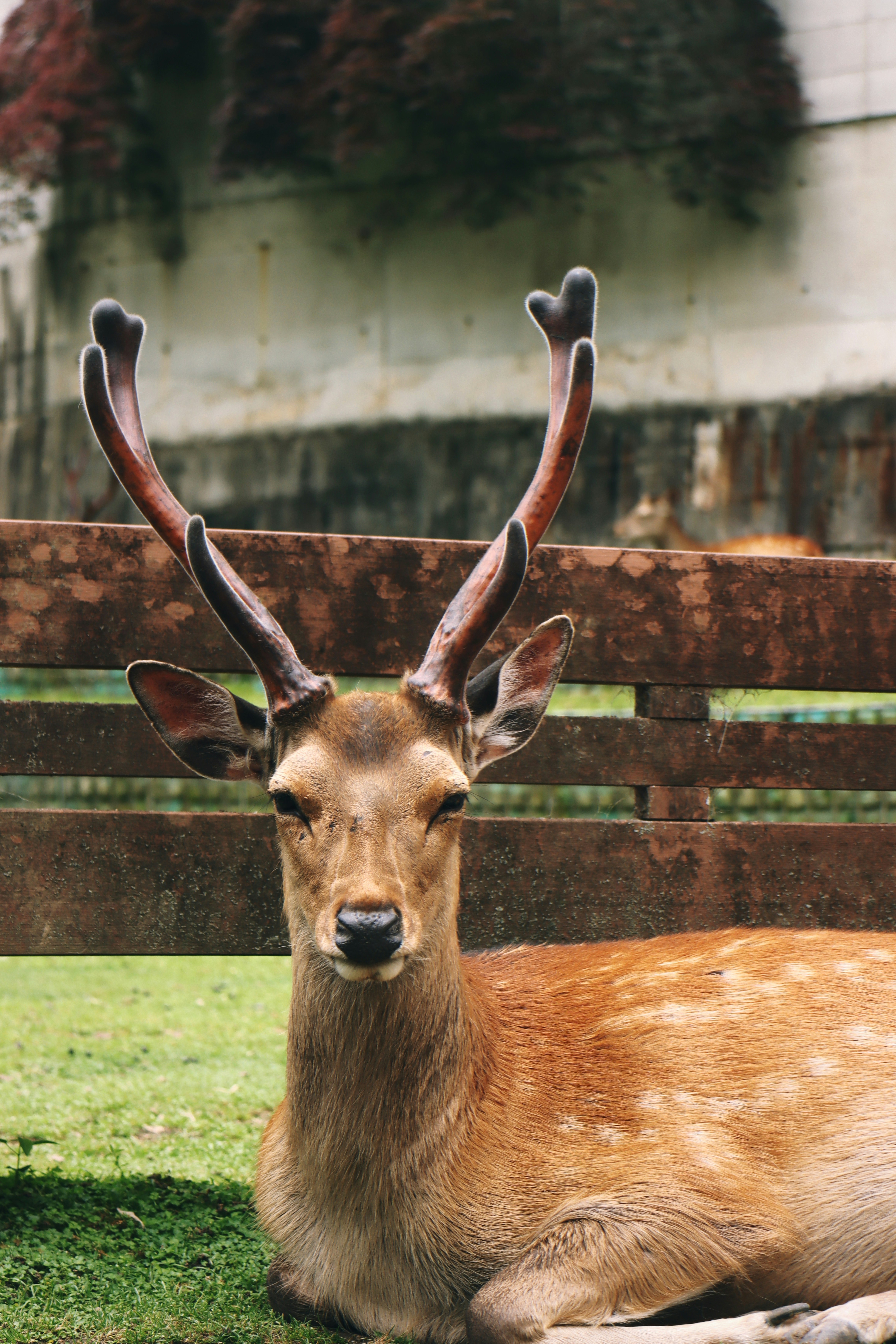 Photo by richardshan