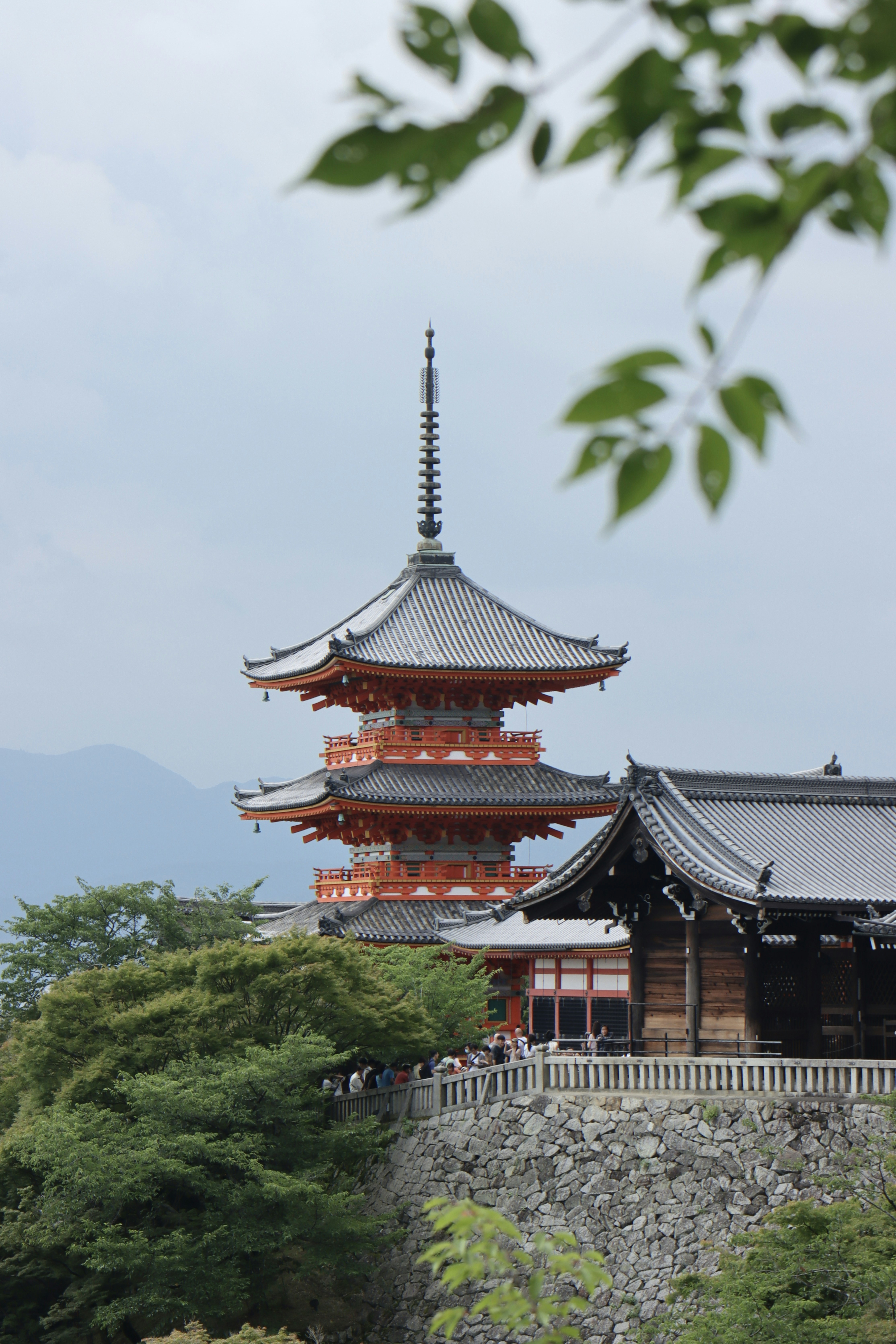 Photo by richardshan