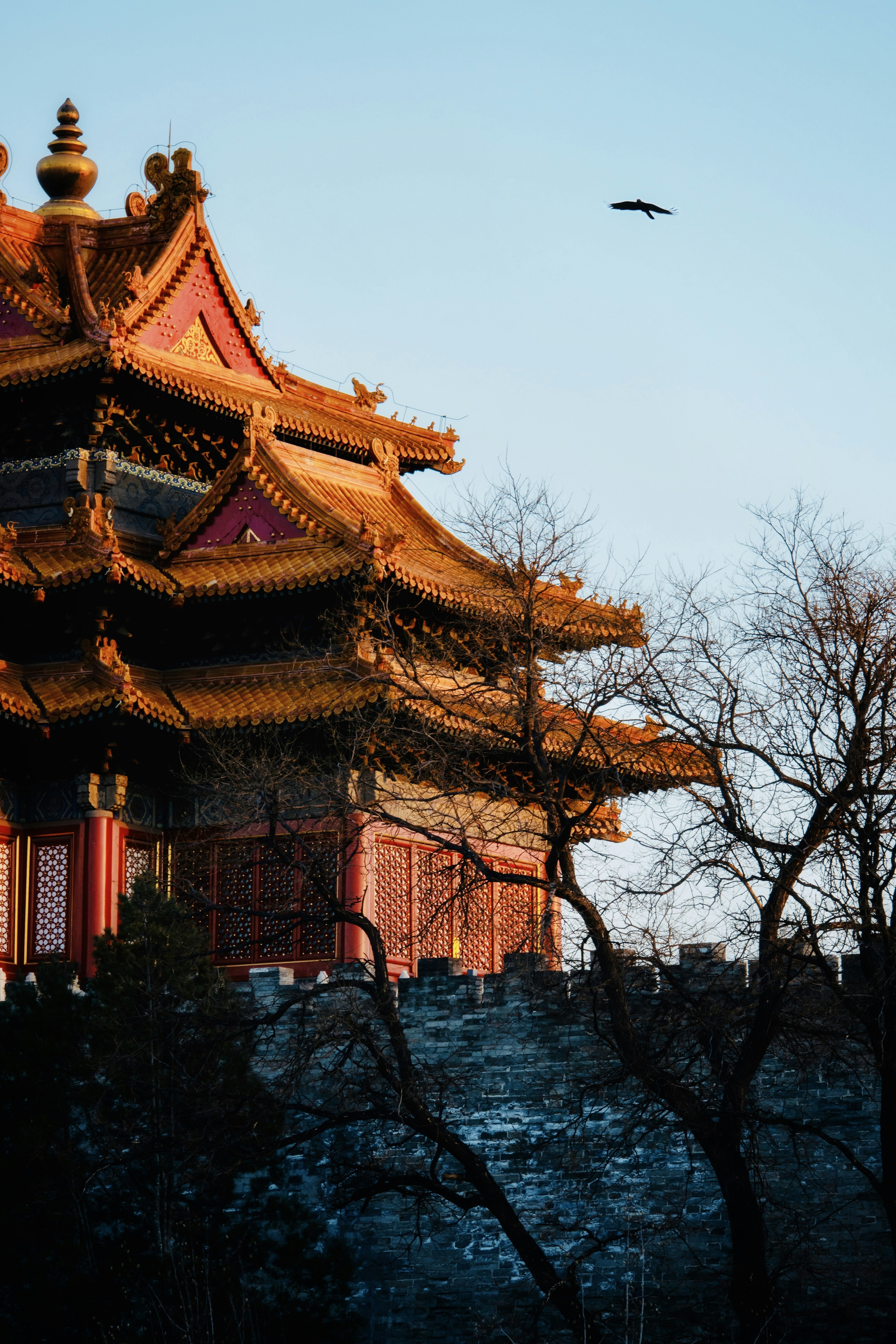 Photo by richardshan