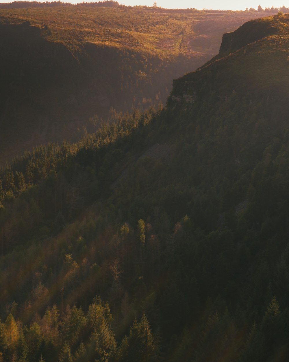 Die Sonne scheint auf einen Berghang