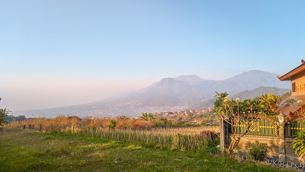 a view of a lush green hillside with mountains in the background