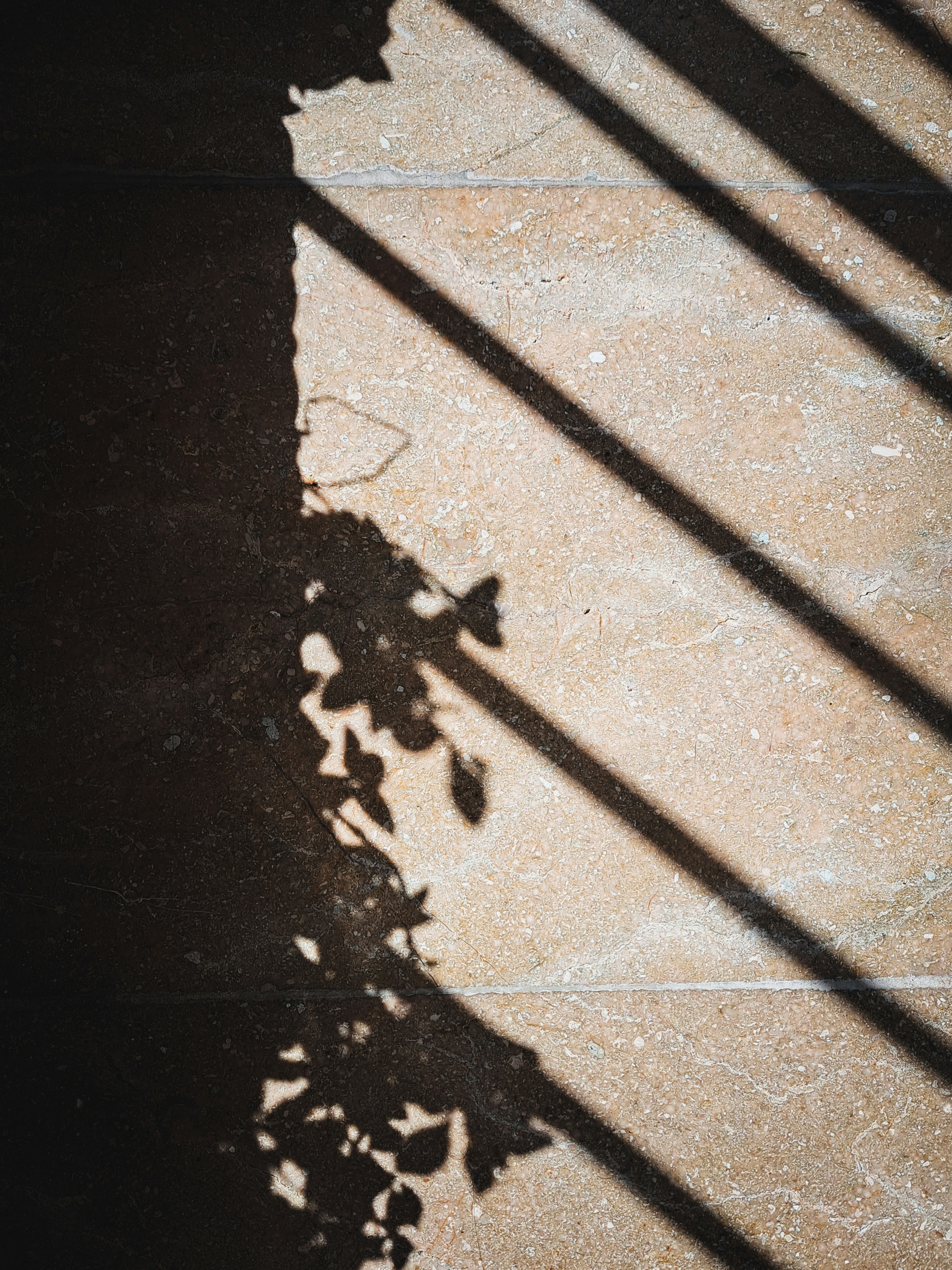 Photo by photo_setayesh