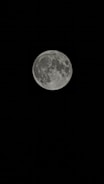A full moon is clearly visible against a dark night sky. The lunar surface shows detailed craters and maria, giving a textured appearance.