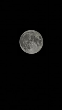 A full moon is clearly visible against a dark night sky. The lunar surface shows detailed craters and maria, giving a textured appearance.