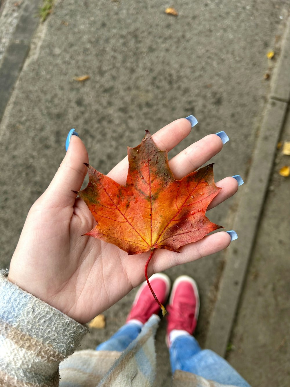 a person holding a leaf in their hand