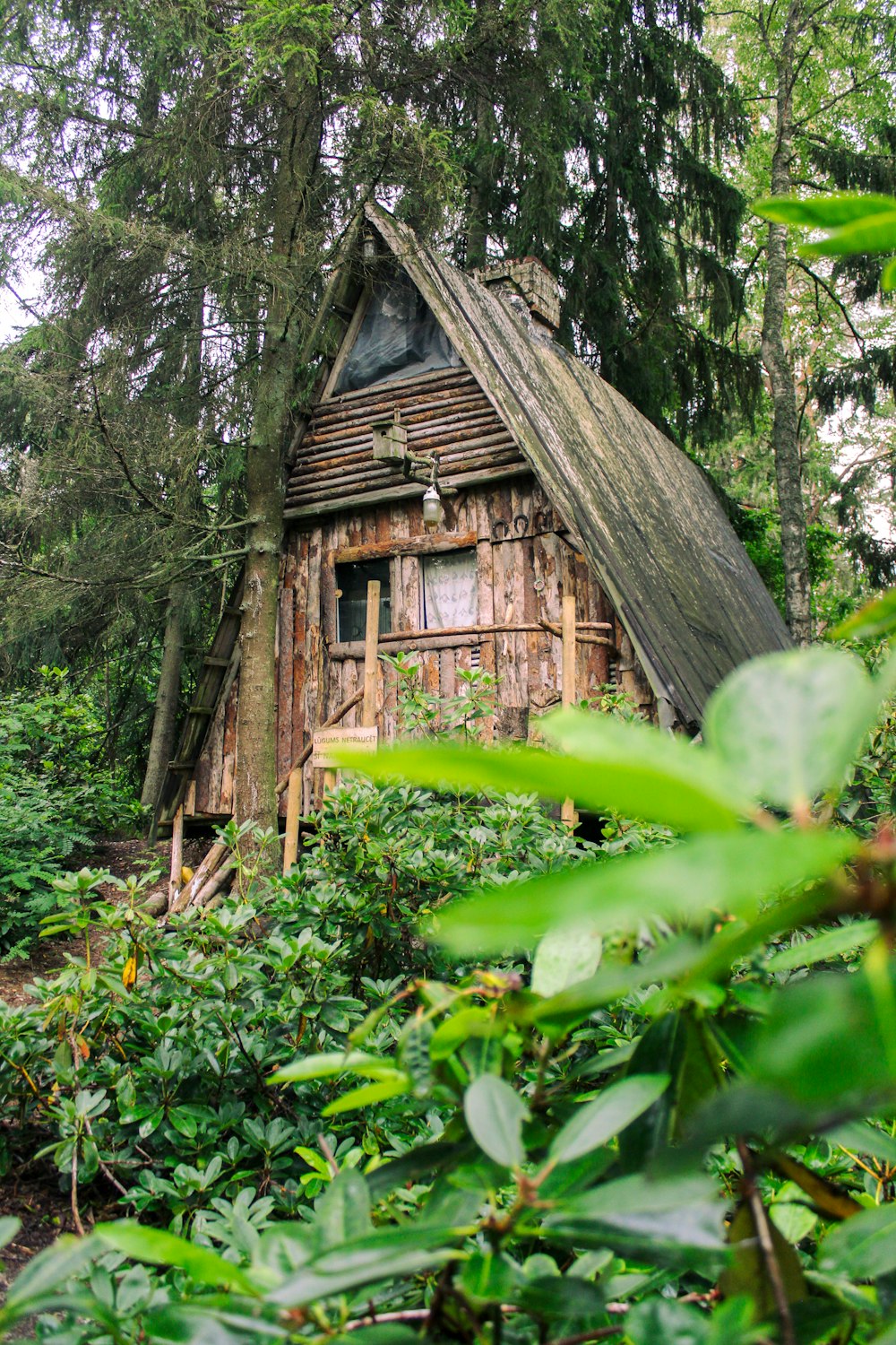 uma pequena cabana no meio de uma floresta