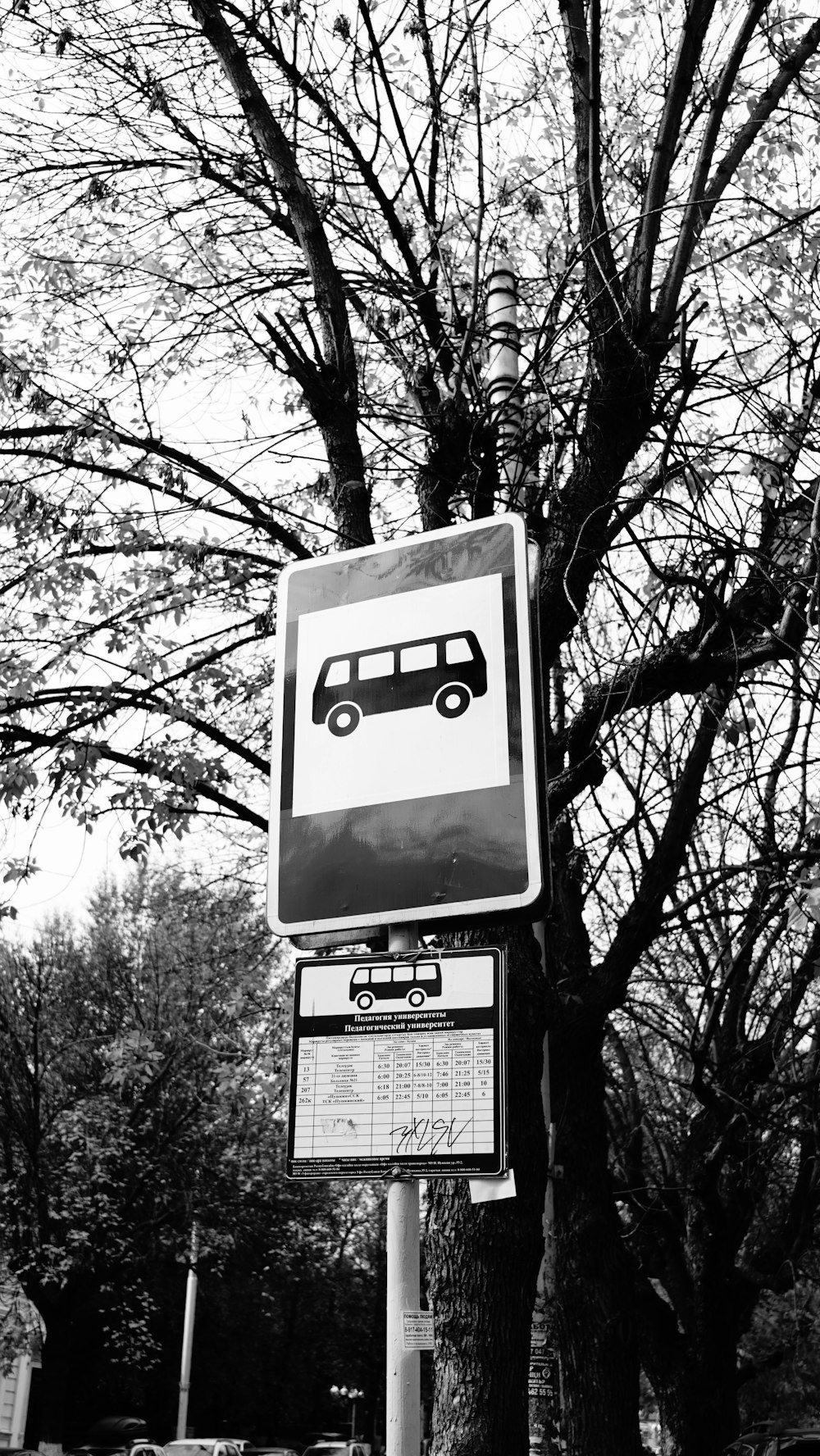 a street sign with a bus on it next to a tree