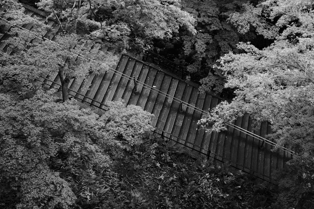 a black and white photo of a train going over a bridge