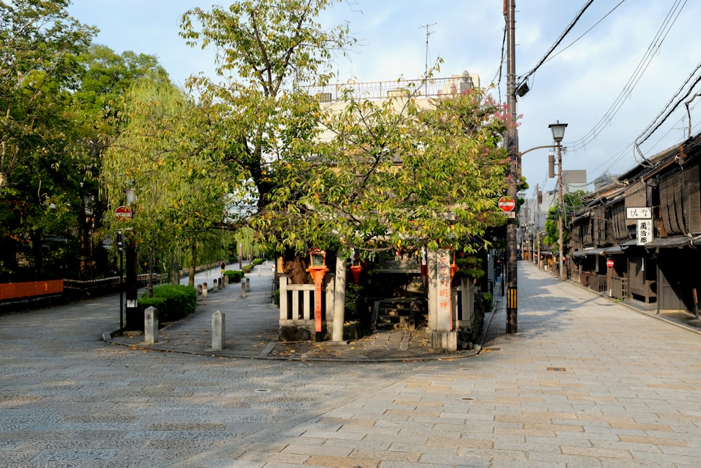 an empty street with trees and buildings in the background
