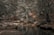 A serene forest setting with a gentle stream flowing through, symbolizing tranquility and connection to nature.