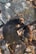 A pair of baboons interact closely in a natural setting filled with dry branches. The light creates a warm and intimate aura, highlighting the fur and facial expressions of the animals.