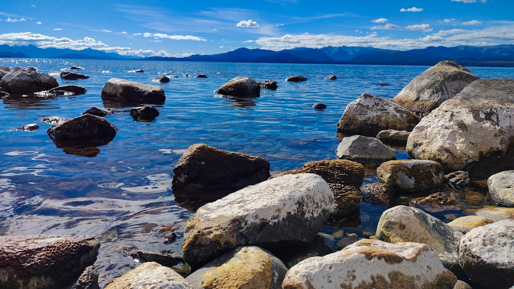 a rocky shore with lots of rocks in the water