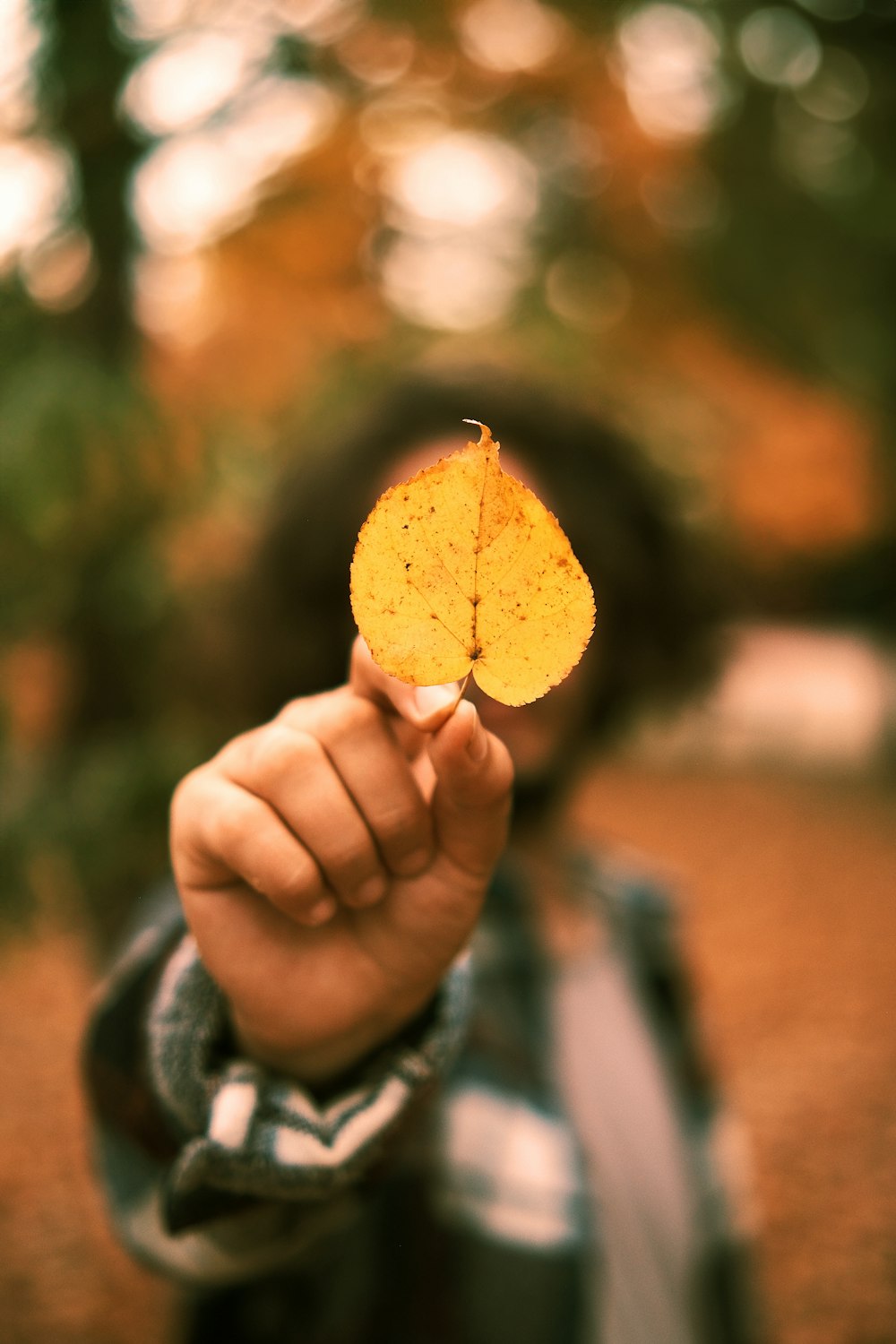 a person holding a yellow leaf in their hand
