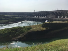 A massive hydroelectric dam spans across a wide river with water flowing from its openings. The foreground features lush green grass and vegetation covering the banks, while a flow of water is seen moving towards the dam structure.