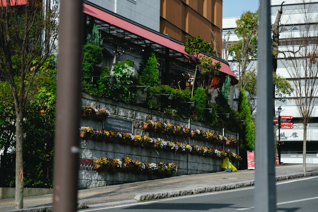 骨质疏松会引起疼痛吗?有哪几种表现 骨质疏松引起膝盖疼痛能不能多走