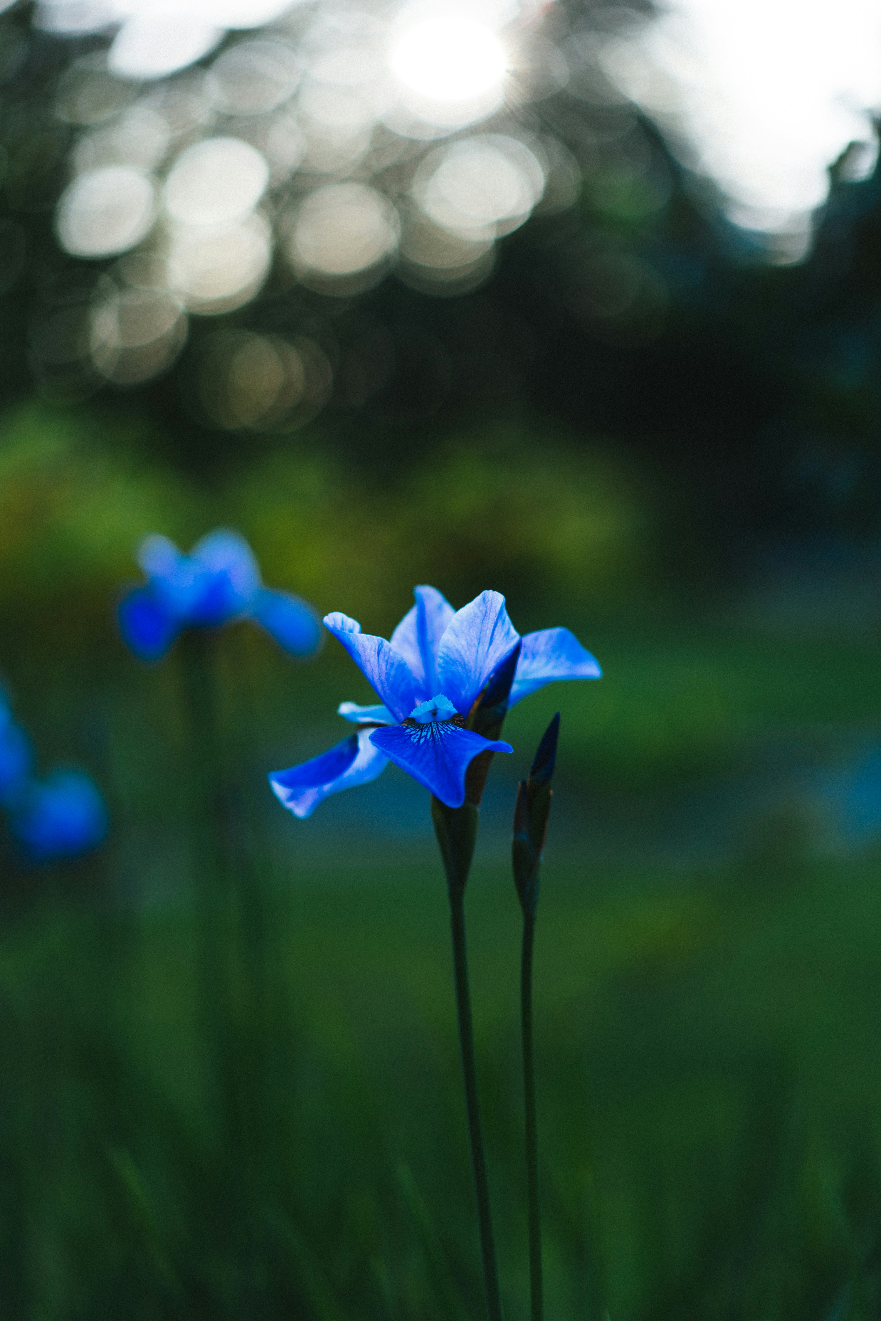 Photo by philhearing