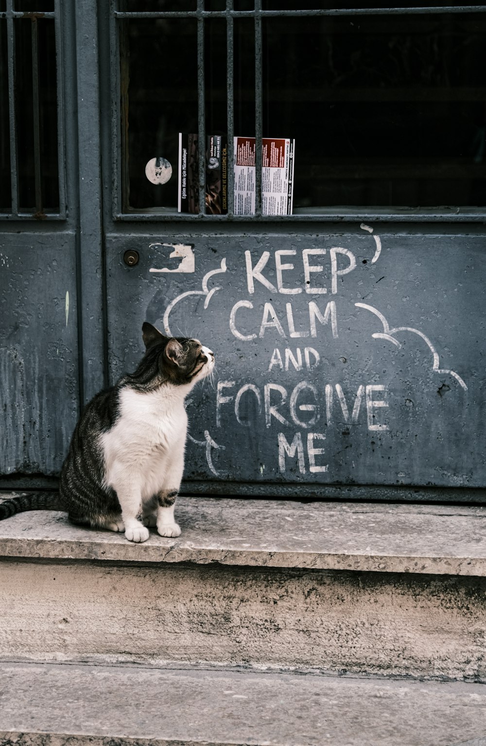 a cat sitting on a step in front of a door