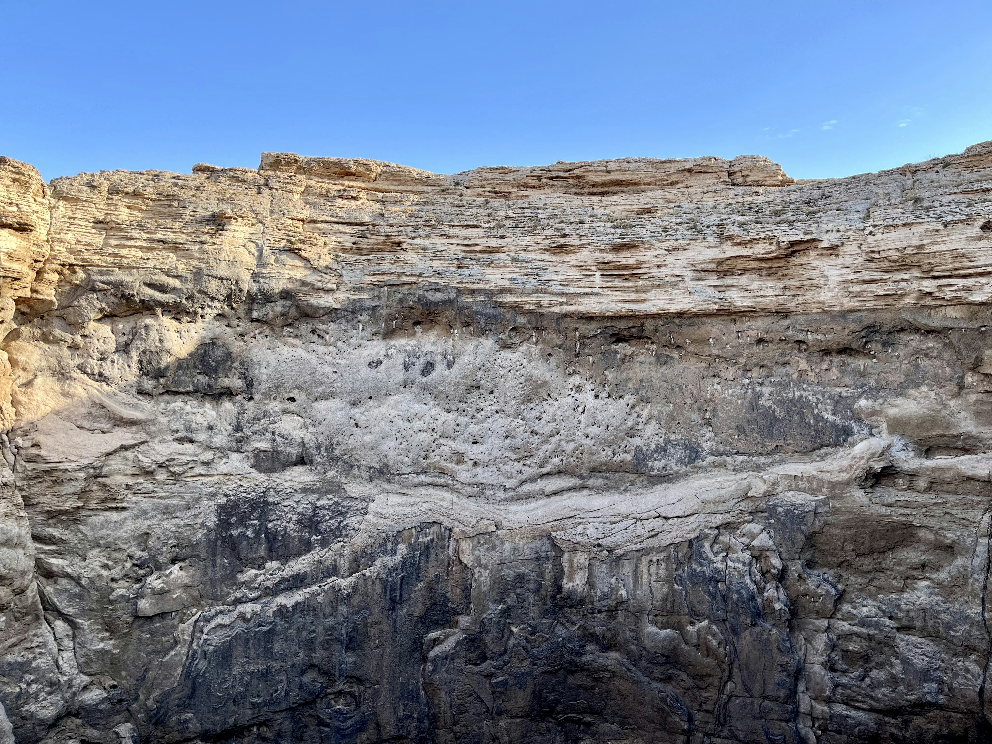 Photo by mojganshabani