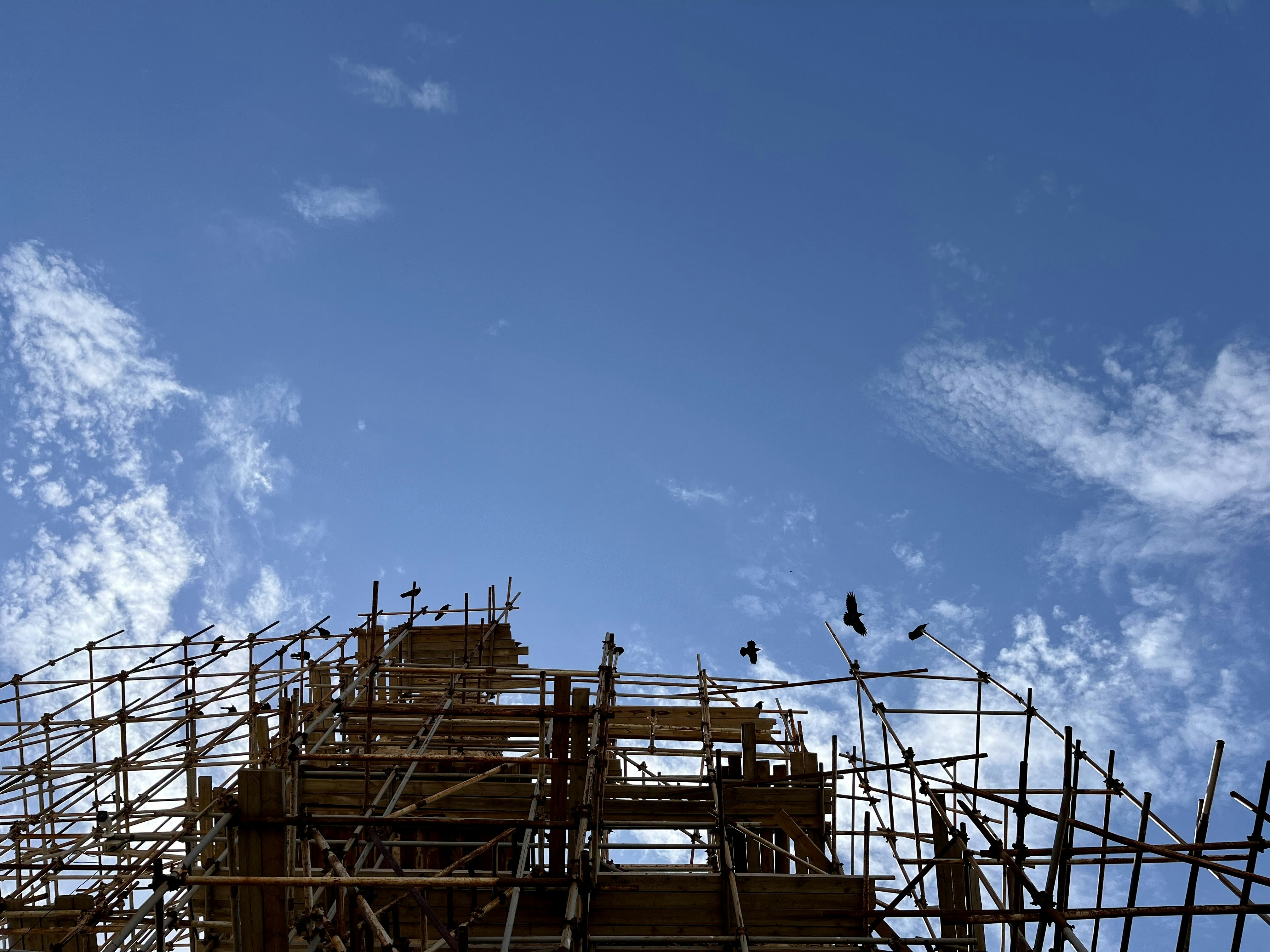 Photo by mojganshabani