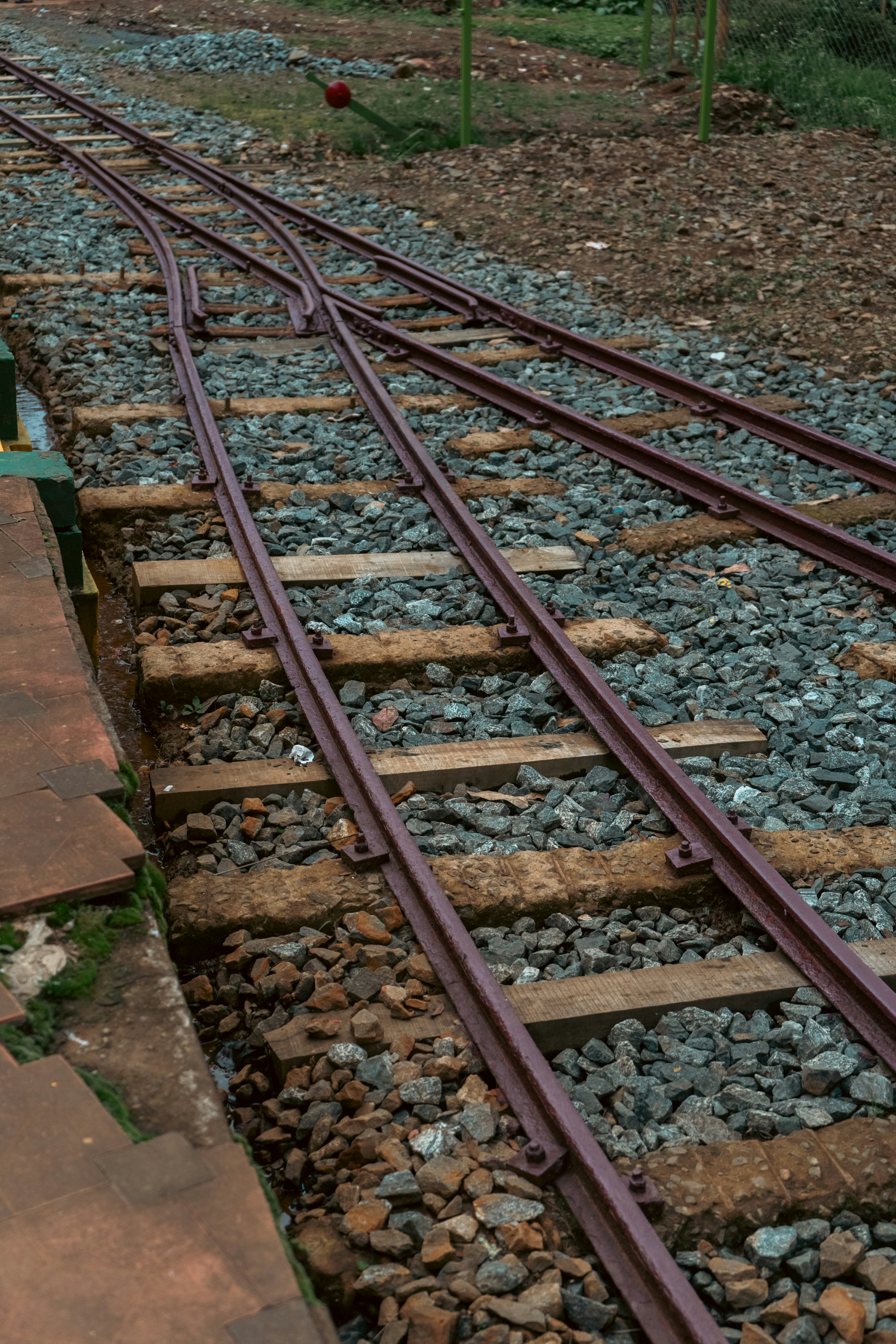 Photo by karthickgislen