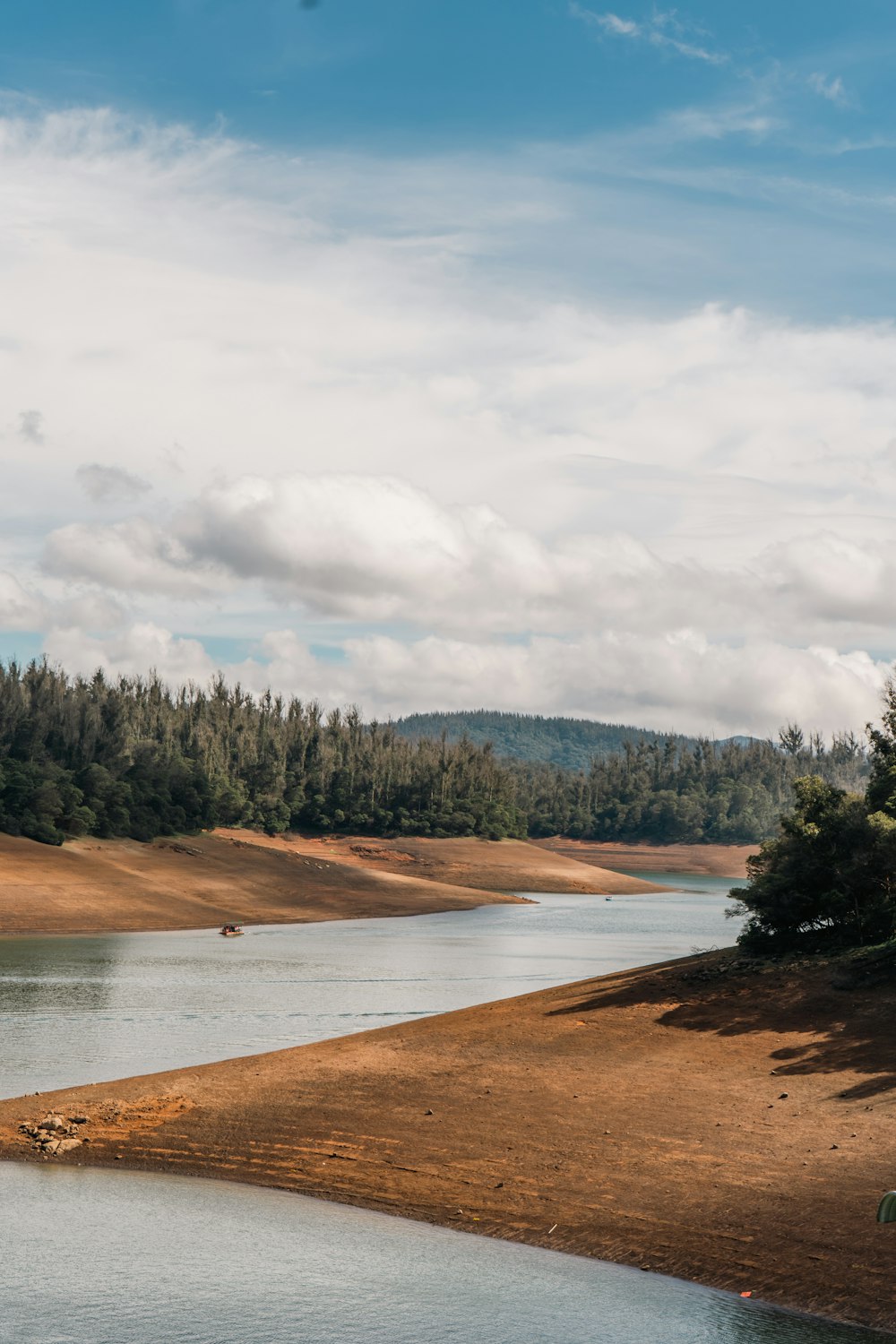 a body of water with trees in the background