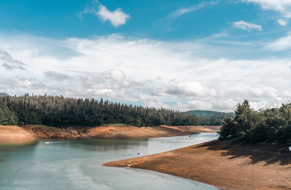 a body of water surrounded by a forest