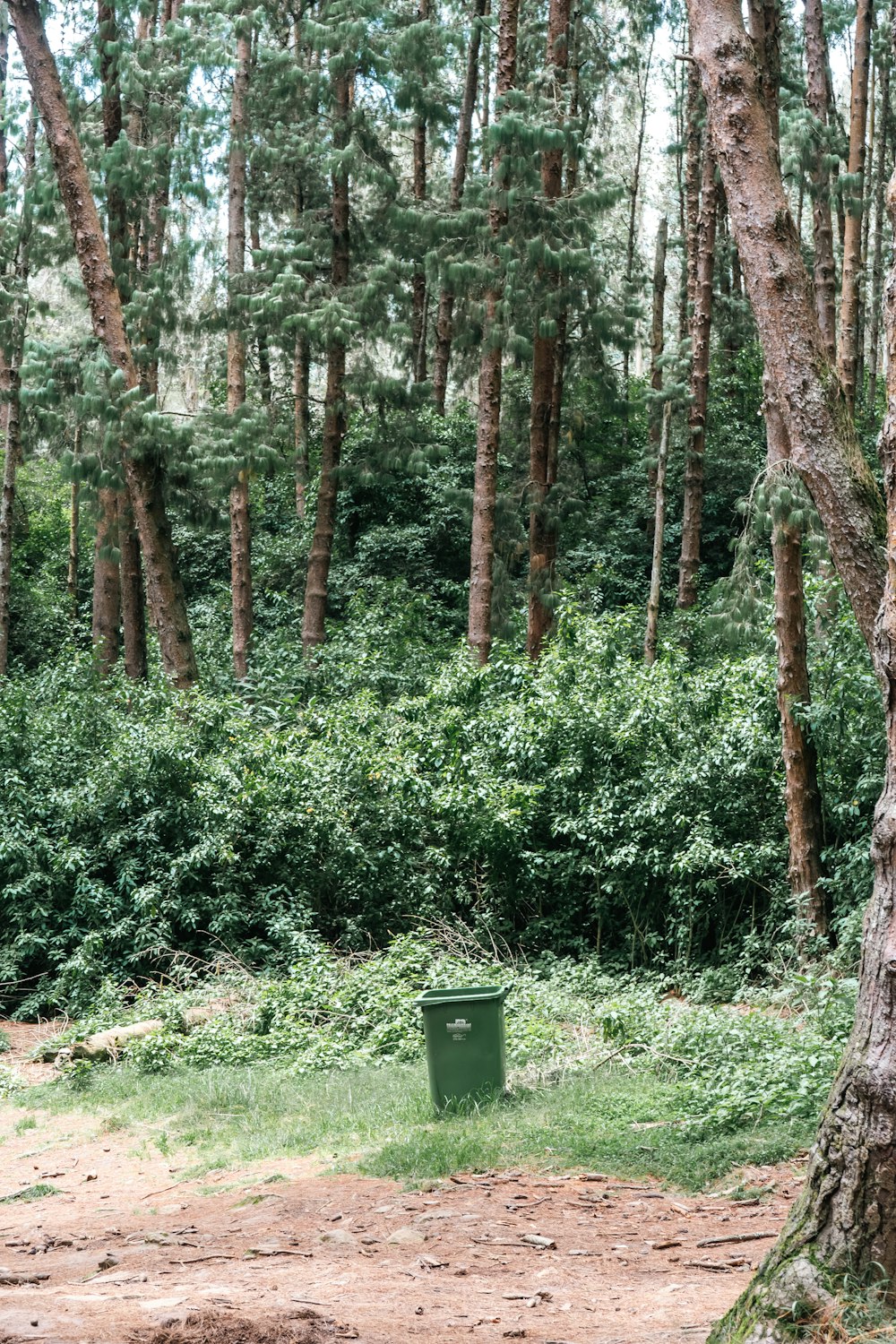 a green trash can sitting in the middle of a forest