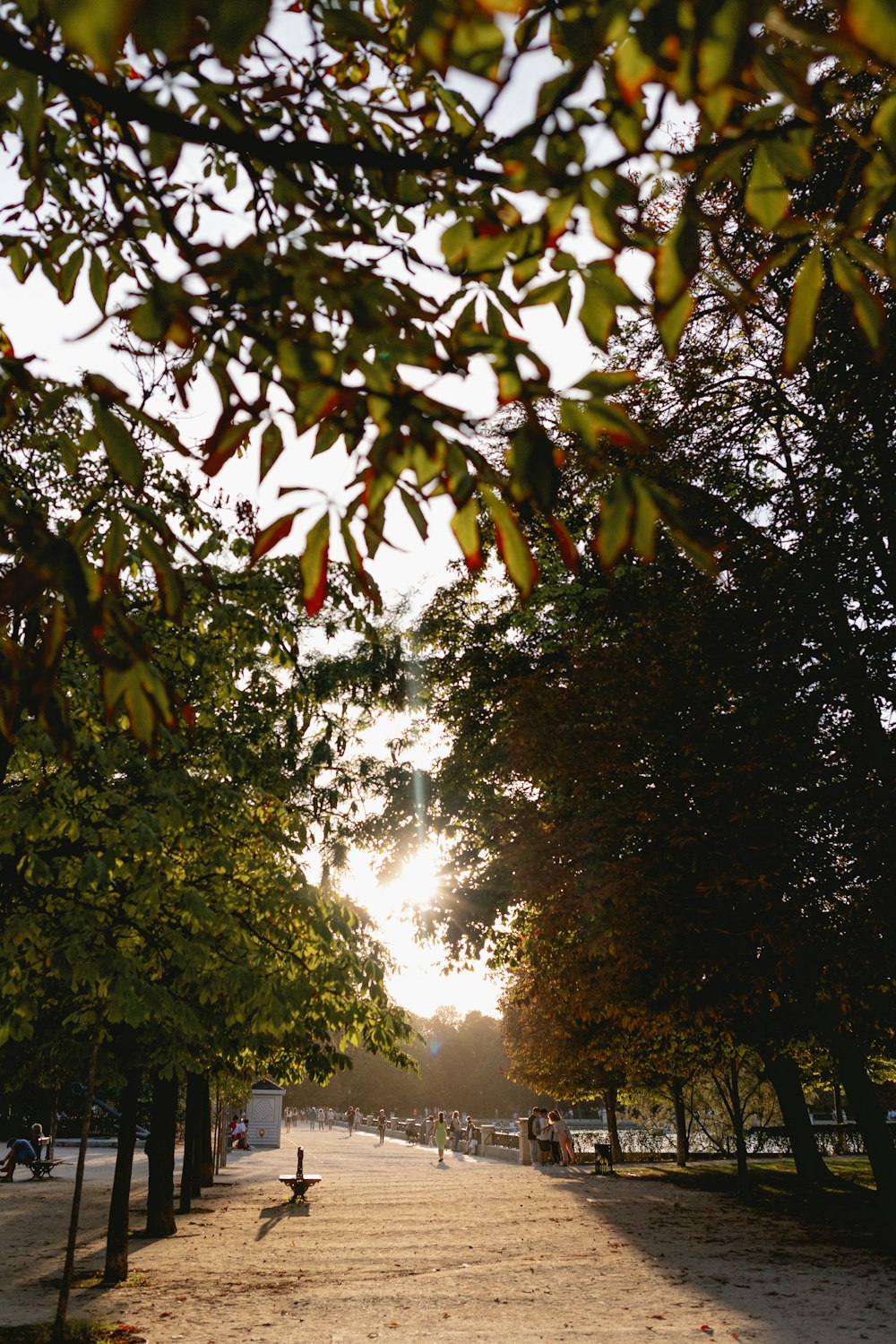 a person sitting on a bench in a park