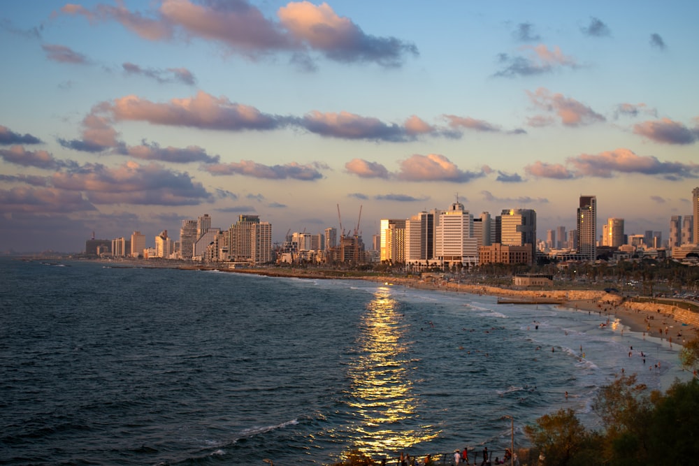 a view of a beach with a city in the background