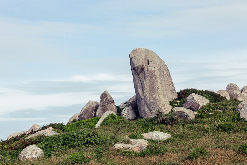 a large rock sitting on top of a lush green hillside