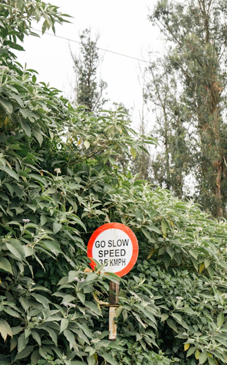 a red and white sign sitting on the side of a lush green forest