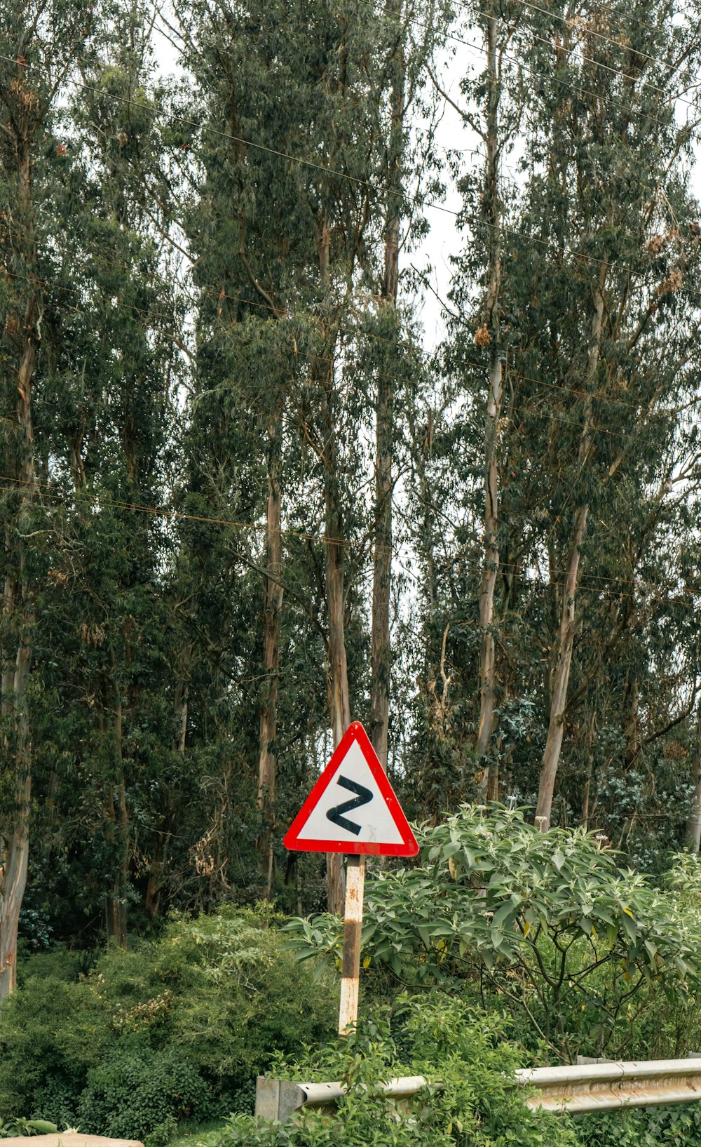 a red and white sign sitting in the middle of a forest