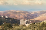 View from the room showing olive groves and distant hills.