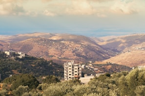 View from the room showing olive groves and distant hills.