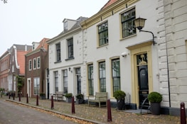 A row of traditional European houses lines a cobblestone street. The facades are mostly white with large windows, and some have decorative elements like intricate moldings. The roofs are steep and tiled with a reddish color. There are decorative plants in pots along the pavement and a few benches placed by the houses.