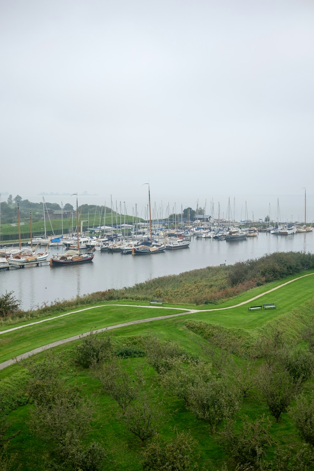 a large body of water filled with lots of boats