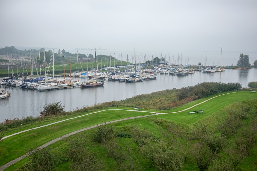 a body of water filled with lots of boats