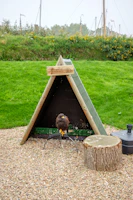 Trainer placing feed on a high perch to encourage explosive takeoff and quick turns.